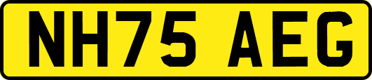 NH75AEG