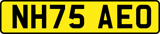 NH75AEO