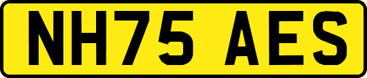 NH75AES