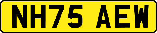 NH75AEW