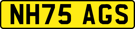 NH75AGS