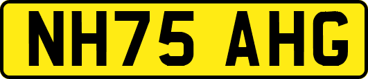 NH75AHG