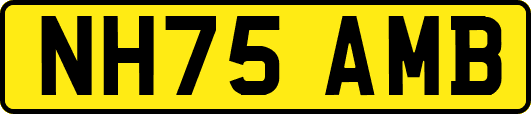 NH75AMB