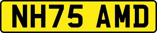 NH75AMD