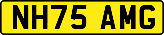 NH75AMG
