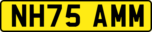 NH75AMM
