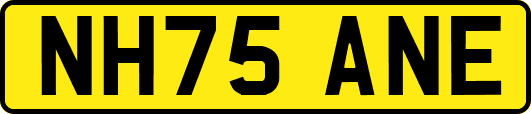 NH75ANE