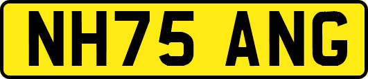 NH75ANG
