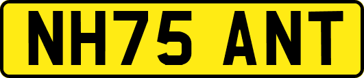 NH75ANT