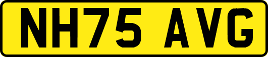 NH75AVG