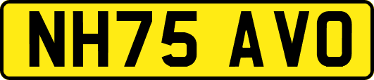 NH75AVO