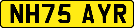 NH75AYR