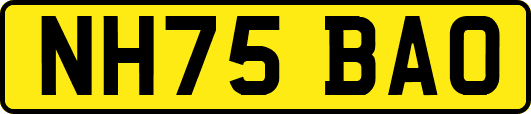 NH75BAO