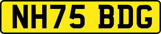 NH75BDG