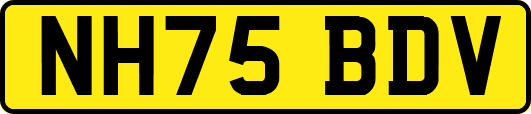 NH75BDV