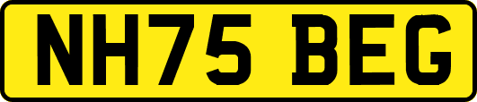 NH75BEG
