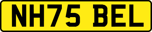 NH75BEL