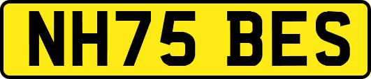 NH75BES