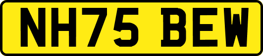 NH75BEW