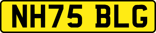 NH75BLG