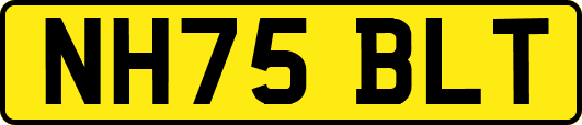 NH75BLT