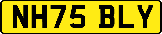 NH75BLY