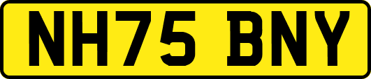 NH75BNY