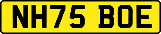 NH75BOE