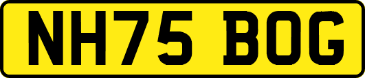 NH75BOG