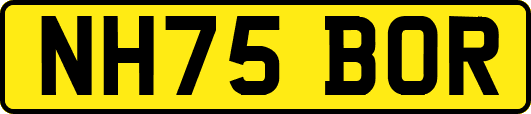 NH75BOR