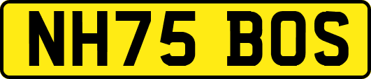 NH75BOS