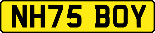 NH75BOY