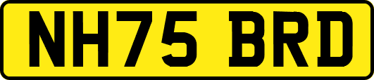 NH75BRD