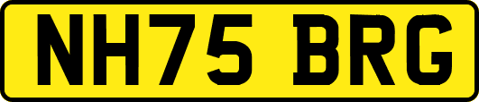 NH75BRG