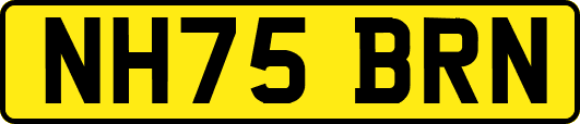 NH75BRN