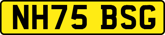 NH75BSG