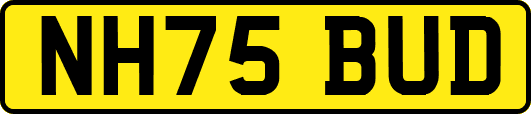 NH75BUD