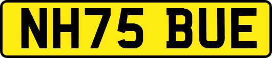 NH75BUE