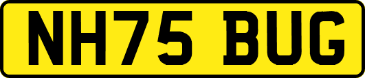 NH75BUG