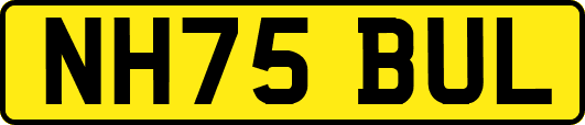 NH75BUL