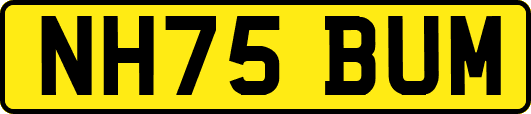 NH75BUM
