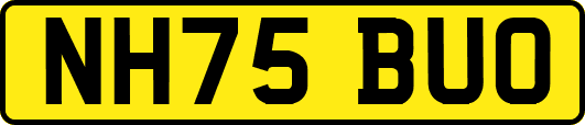 NH75BUO