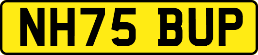 NH75BUP