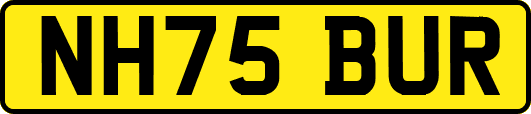 NH75BUR
