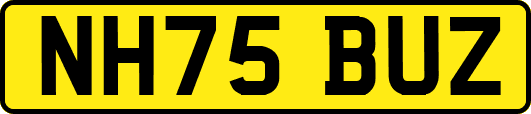 NH75BUZ