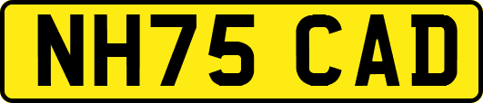 NH75CAD
