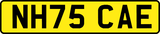 NH75CAE