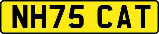 NH75CAT