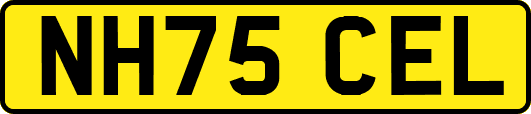NH75CEL
