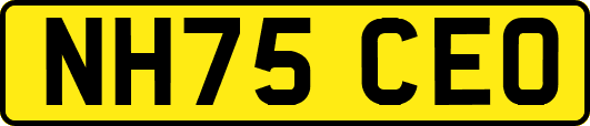 NH75CEO